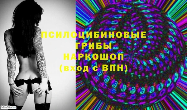 прущая мука Аркадак