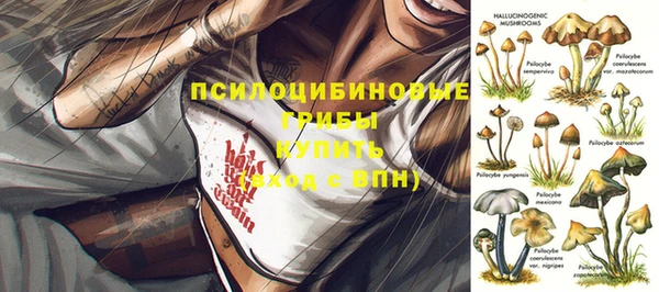 прущая мука Аркадак